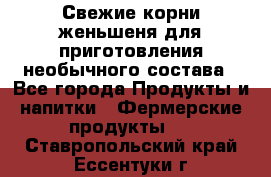 Свежие корни женьшеня для приготовления необычного состава - Все города Продукты и напитки » Фермерские продукты   . Ставропольский край,Ессентуки г.